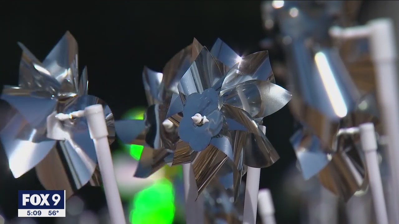 Vivian's Garden: Families plant pinwheels at University of Minnesota campus to raise awareness of CMV