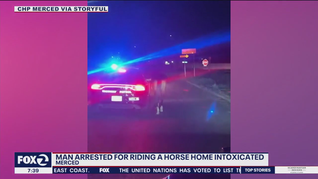Merced man arrested for DUI while riding a horse | KTVU FOX 2