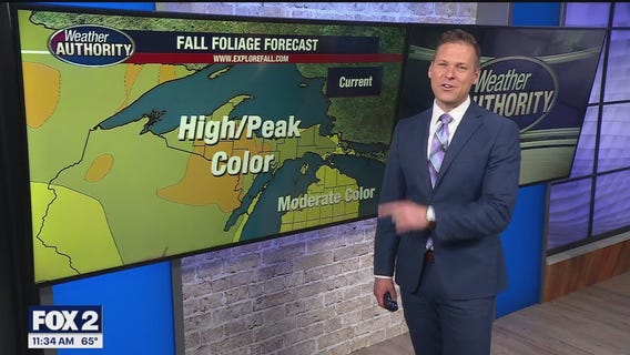 More 80 degree sunny weather over the next few days