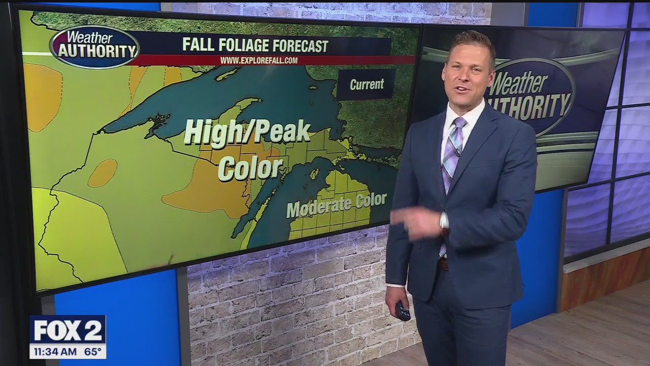 More 80 degree sunny weather over the next few days