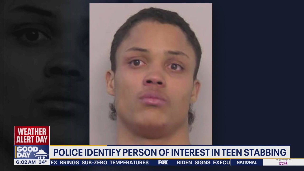 Police identify person of interest in teen stabbing