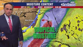 Tampa weather | Rain expected Wednesday