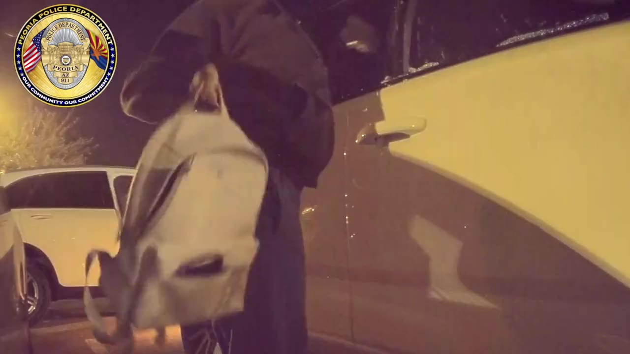 Alleged burglar caught on camera breaking into SUV | FOX 10 Phoenix