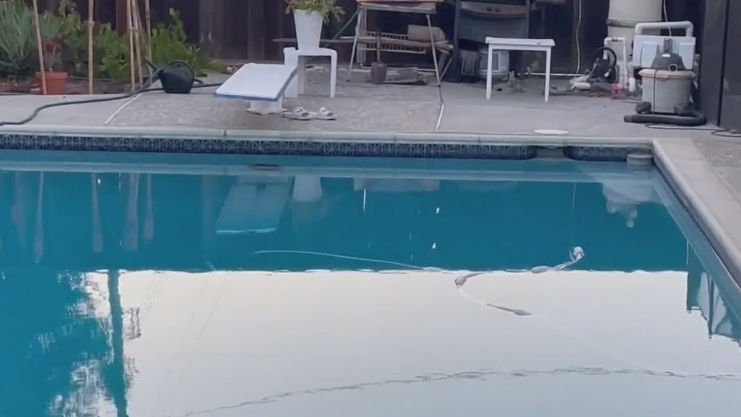 Neighbors shocked after 2 children drown in San Jose daycare pool ...