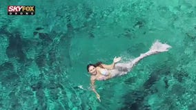 Drone Zone: Weeki Wachee Springs State Park