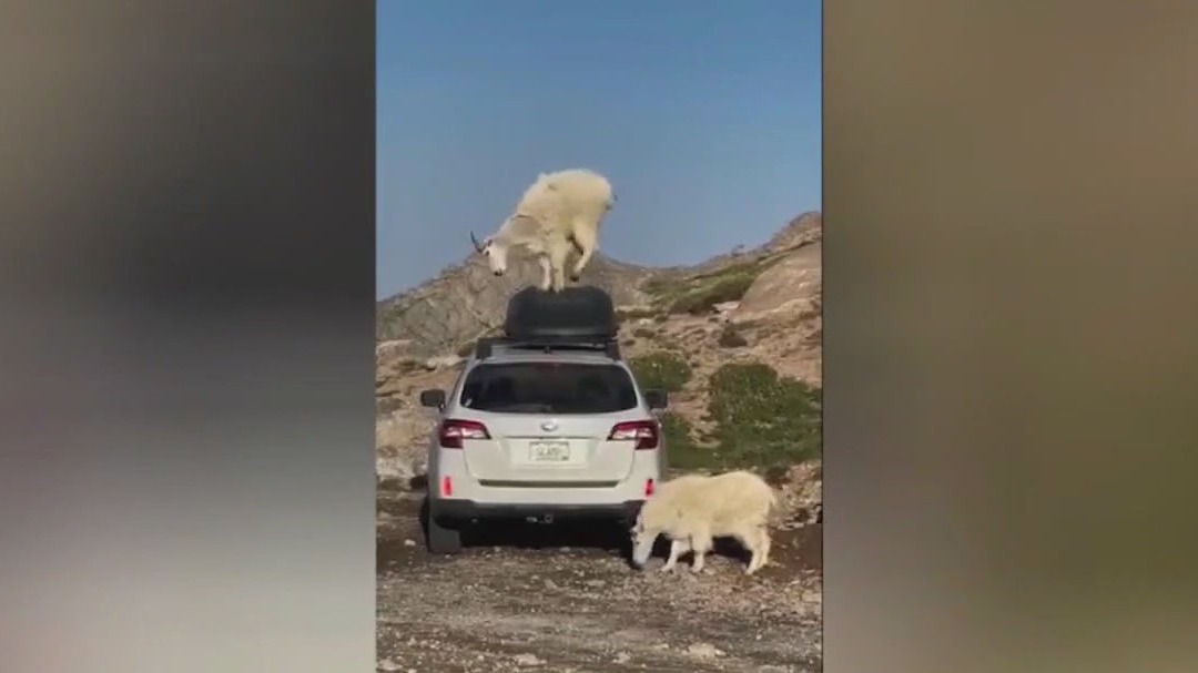 2024 top 'Caught on Camera' moments