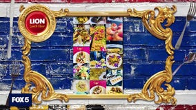 LION Lunch Hour: November 20, 2025