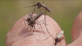 West Nile virus in Yakima County