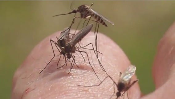 West Nile virus in Yakima County