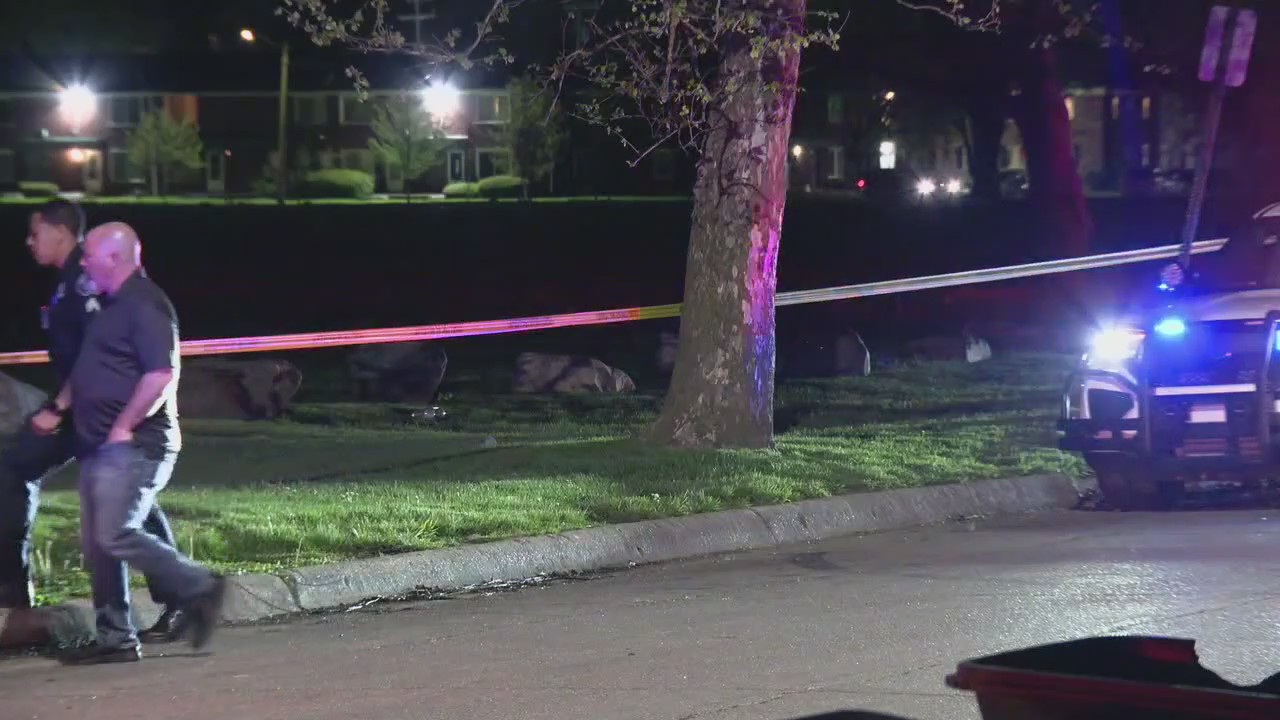 Manhunt underway after four shot at Detroit park