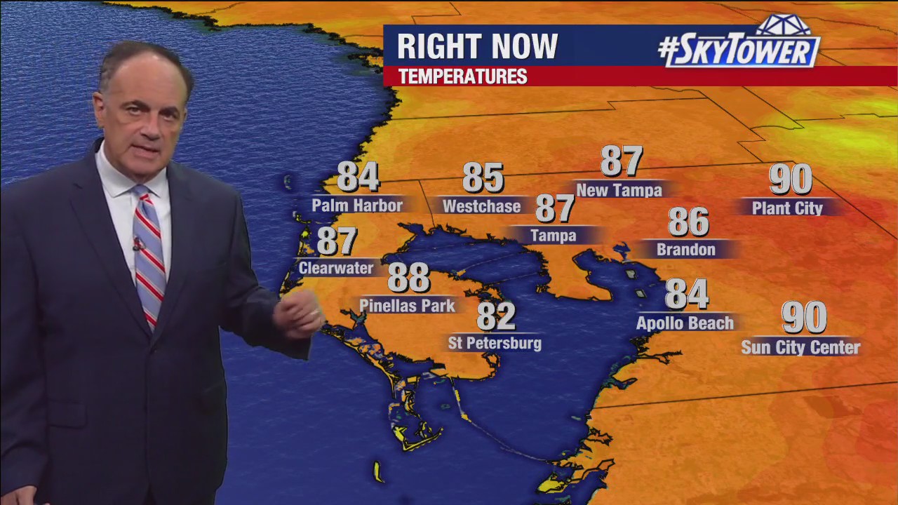 Tampa weather | Small rain chances all week