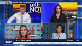 Taking your dog everywhere