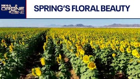 Spring is in the air and so is our drone | Drone Zone