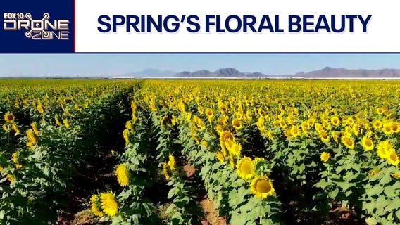 Spring is in the air and so is our drone | Drone Zone