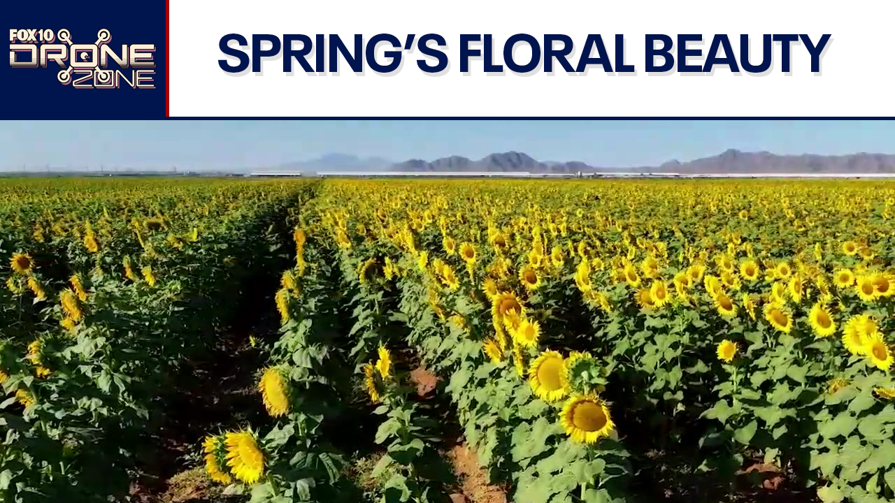 Spring is in the air and so is our drone | Drone Zone