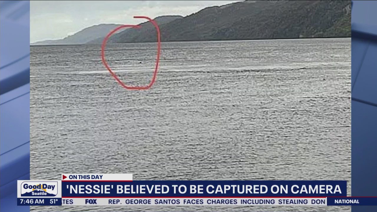 'Nessie' believed to be captured on camera