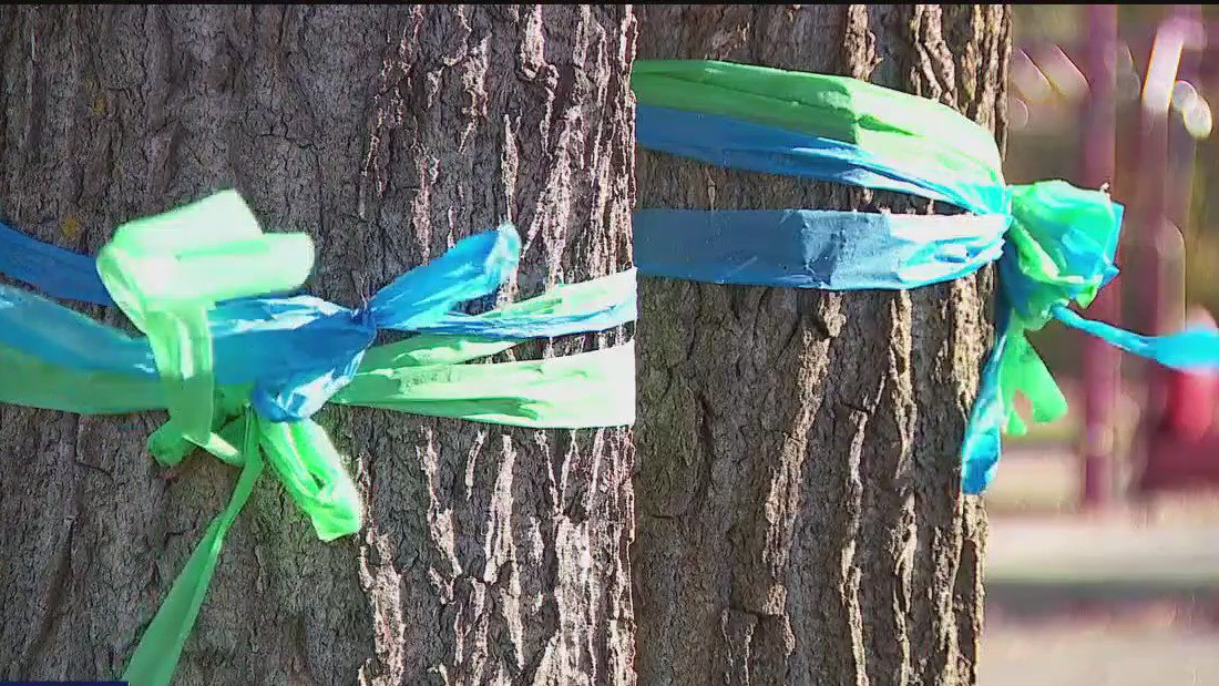 Annunciation ribbons being turned into permanent art piece | FOX 9 ...