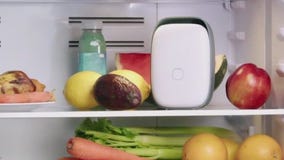 In-demand holiday tech and gadget gifts