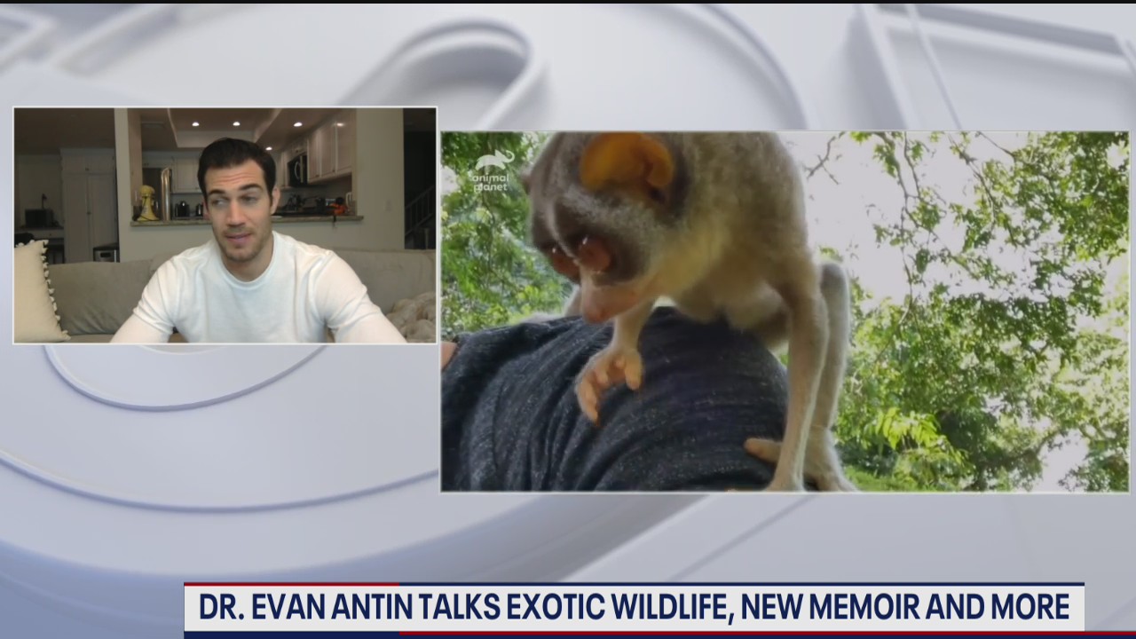 World Wild Vet on FOX 5