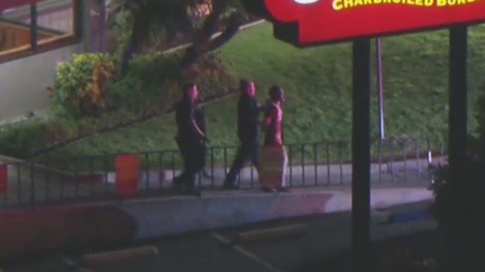 Driver leads police on wild 3-county chase