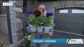 Container gardening tips from Garden Guy Dale K