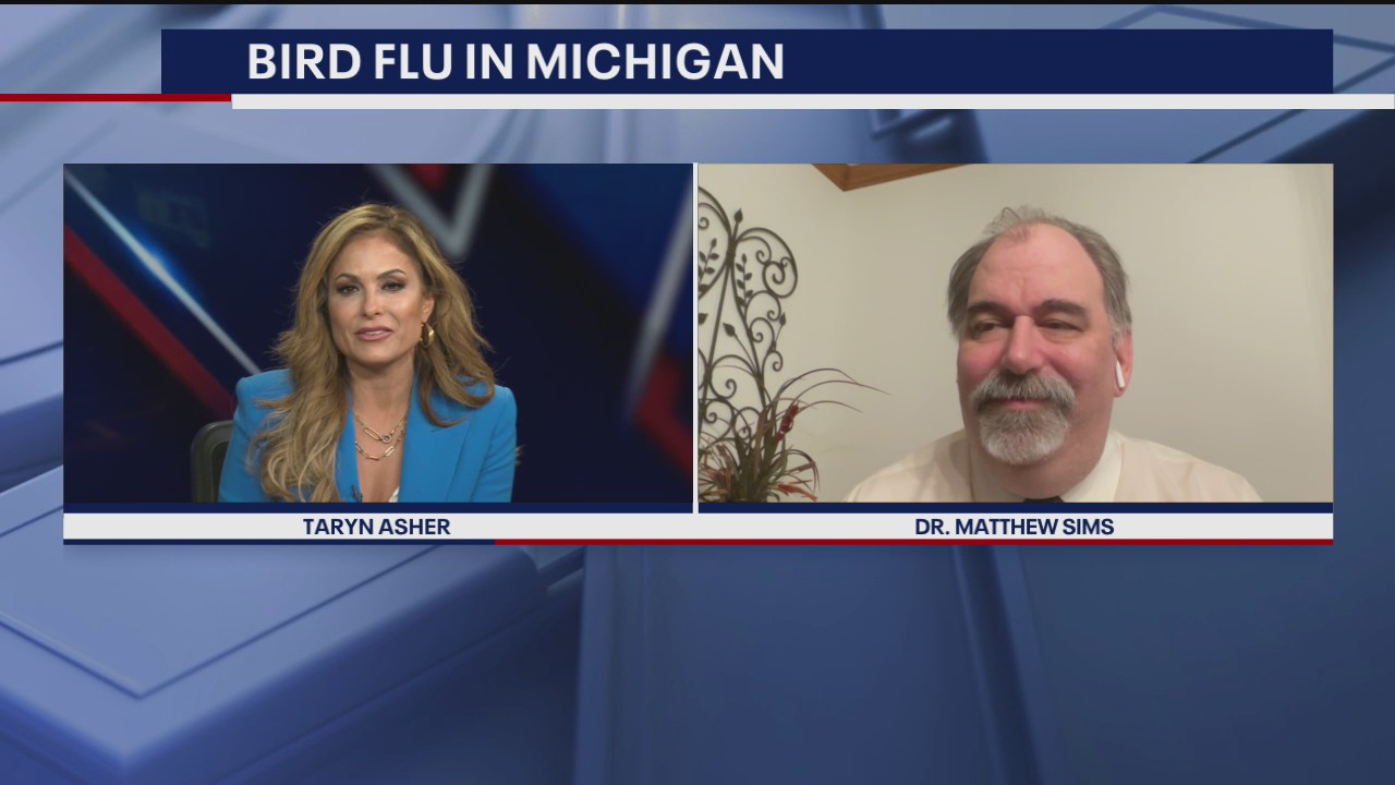 Corewell Health Infectious Disease head discusses case of bird flu found in Michigan