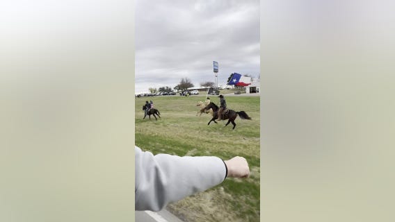 Texas football team gets a horse sendoff