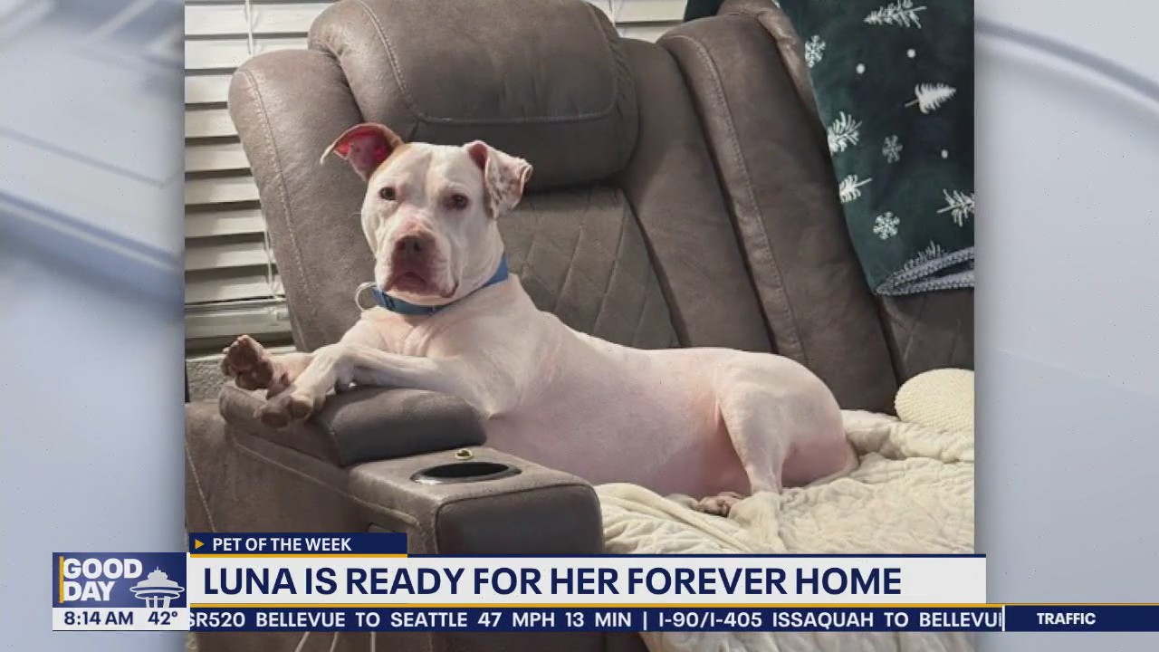 Pet of the Week: Luna