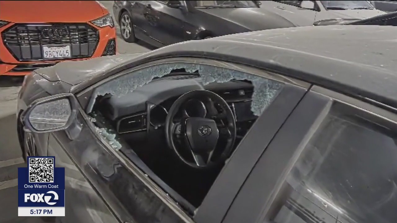 SJ apt residents see their cars windows broken in apparent crime spree