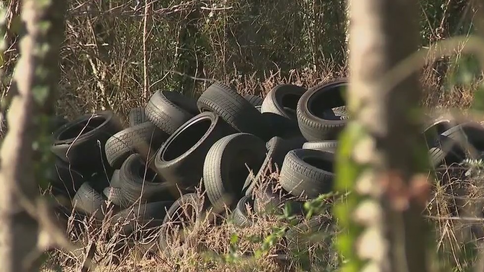 DeKalb County launches $250K cleanup to remove illegal tires | FOX 5 ...