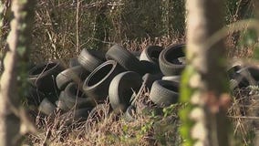 DeKalb County launches $250K cleanup to remove illegal tires