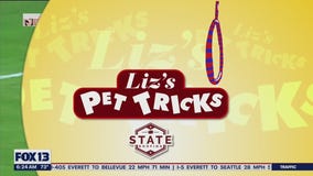 Liz's Pet Tricks for Thursday, August 18