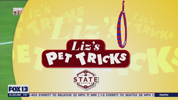 Liz's Pet Tricks for Thursday, August 18