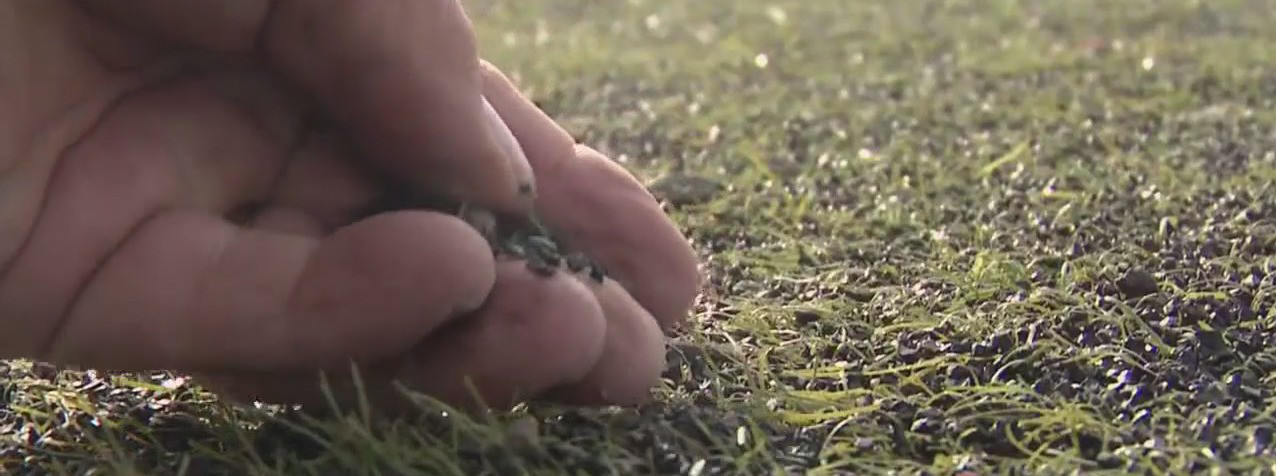 Santa Clara County weighs banning plastics in construction of athletic fields