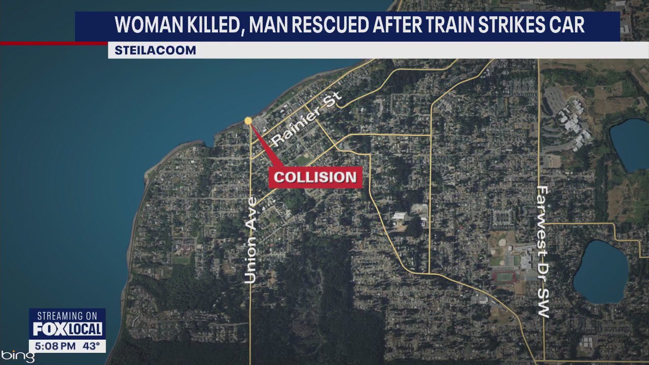 Elderly woman killed, man rescued after train hits car