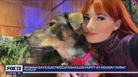 'He was crying and pleading:' Woman says her dog was electrocuted at Holiday Magic at The Fair