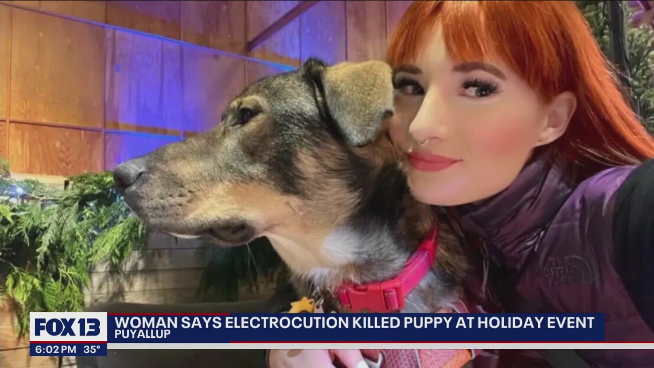 'He was crying and pleading:' Woman says her dog was electrocuted at Holiday Magic at The Fair
