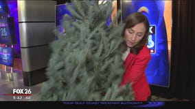 Christmas tree ordered on Amazon.com