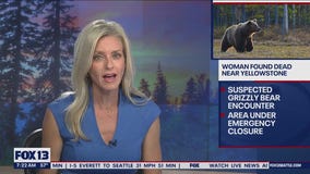 Woman found dead near Yellowstone, suspected grizzly encounter