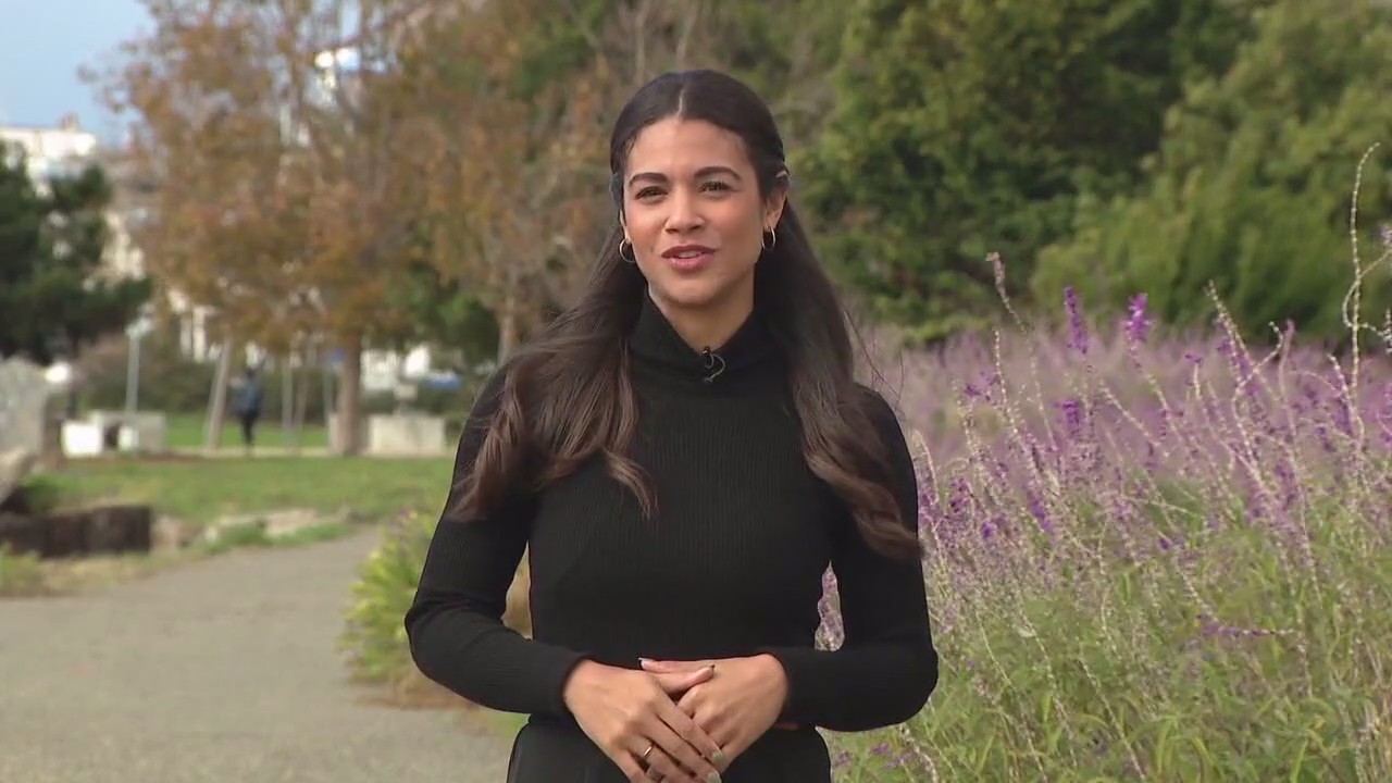 Hella Cool Gigs 2025 Thanksgiving Special