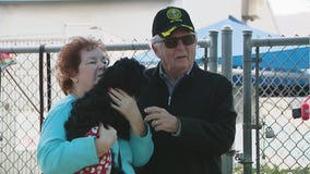 Abandoned dog gets a new family