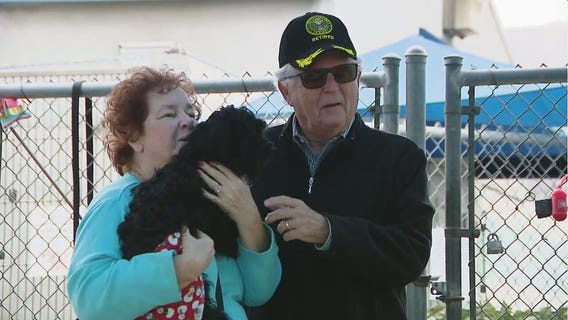 Abandoned dog gets a new family