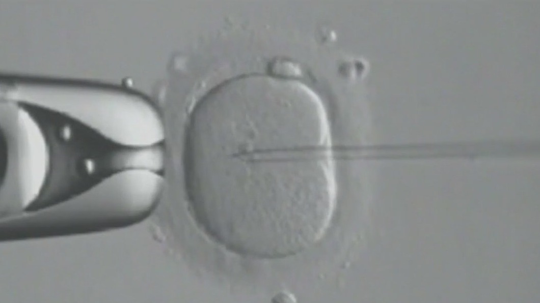 President Trump signs executive order on IVF