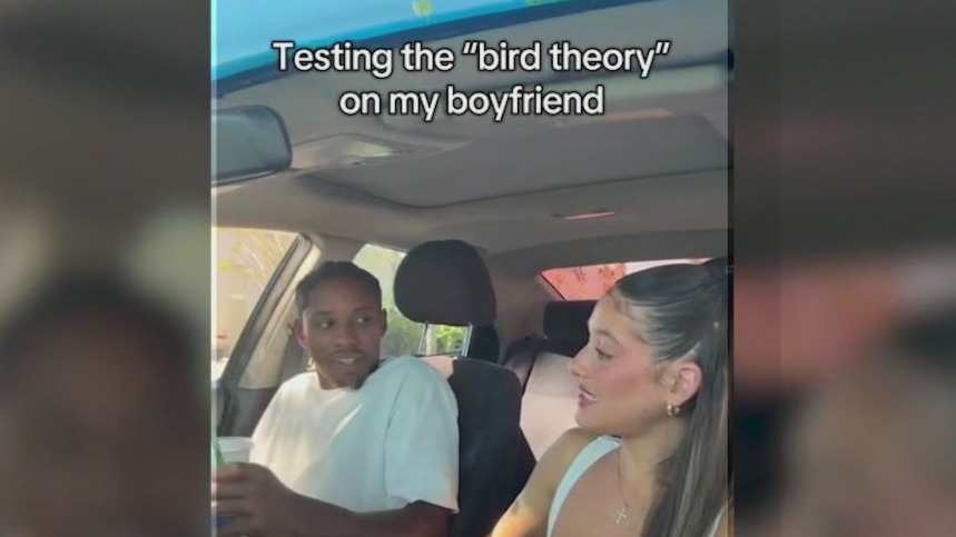 Bird theory goes viral on social media