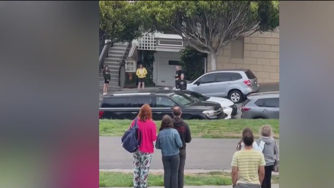 Viral video of Alamo Square car break-in