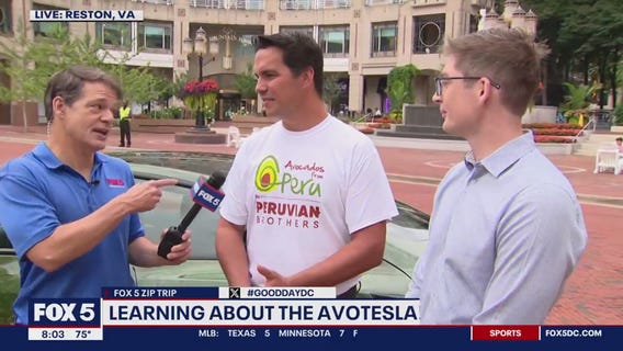 Tucker checks out the AvoTesla in Reston!