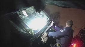 Greenfield police chase, crash video