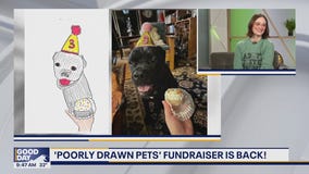 'Poorly drawn pets' fundraiser returns