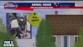 Welcome Dakota Rae, Miggy & Stella