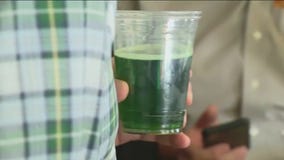 Ways to celebrate St. Patrick's Day in Chicago